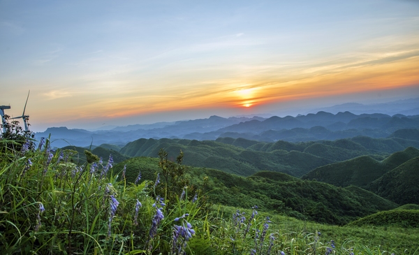 夕阳下的玉簪花海。杨晓刚摄