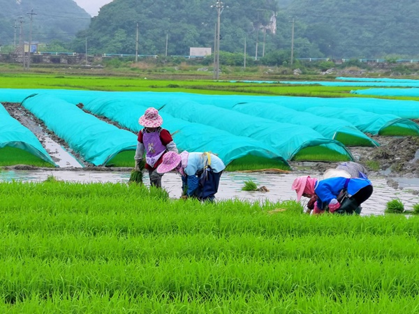 3.稳步提升粮食产能。