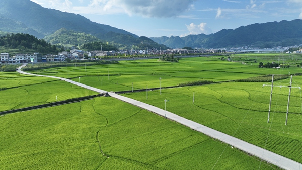 金沙县通往田园乡村的通组公路。