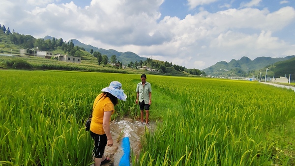 引水到达田里。