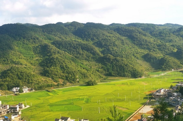 稻田基地。