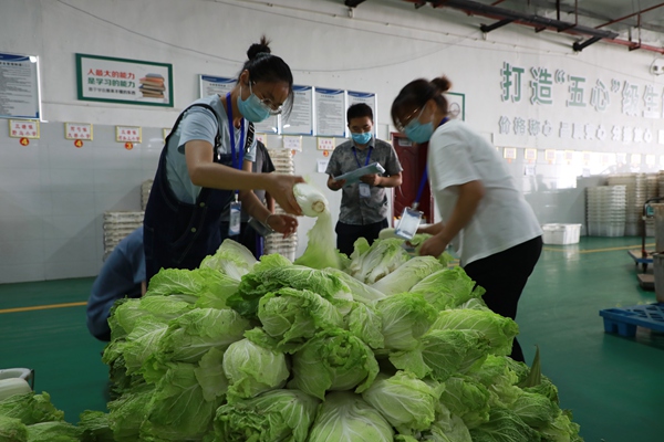 按照下单配送菜品。