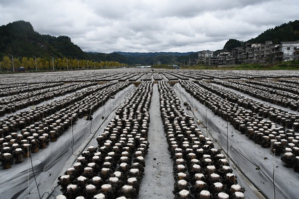 基地一角。张云航摄