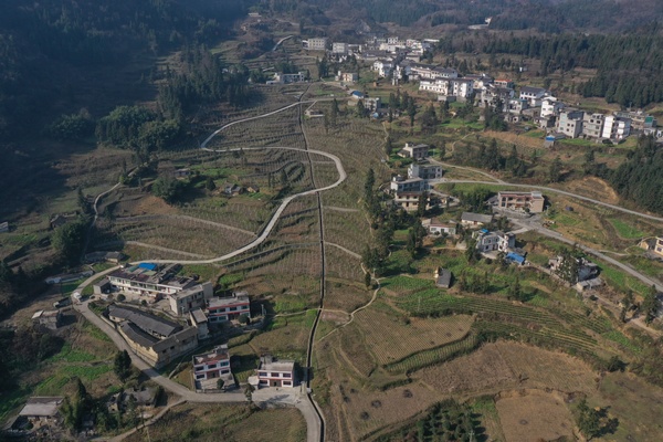 通村通组公路。