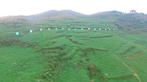 5.思南黄牛产业核心区高山草原养殖示范园区(万亩草场)。