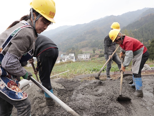 贵州金沙：高标准农田建设为乡村振兴蓄势赋能 (3)