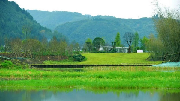 织金凤凰生态湿地公园。