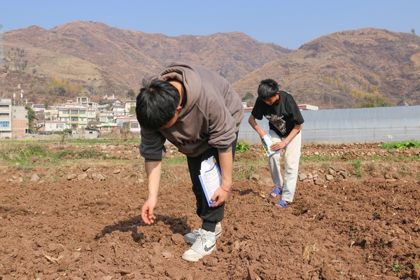 2月6日，威宁县金钟镇夸都社区种植早熟玉米的群众在放种。赵庆能摄