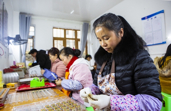 七星关区柏杨林街道就业帮扶车间内 搬迁群众在做电子零件。胡秋婷摄