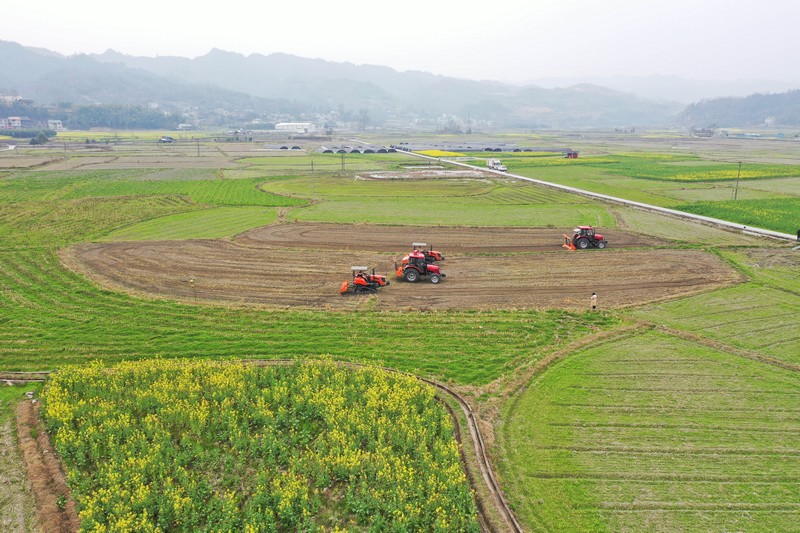 大型旋耕机正在田间耕作。