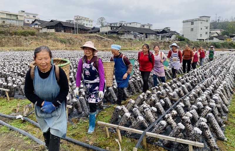 产业的发展让周边群众实现家门口增收.jpg