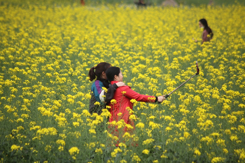 与花同框（姚祖银  摄）