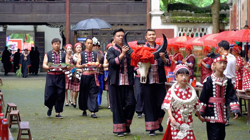 当地少数民族正在进行祭牛神习俗活动。