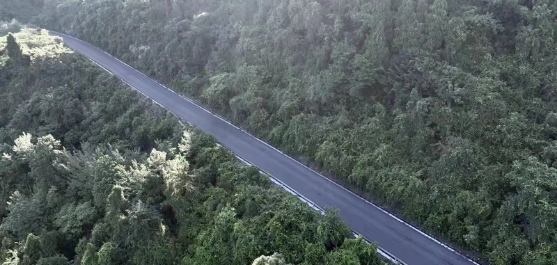 碳新公路。