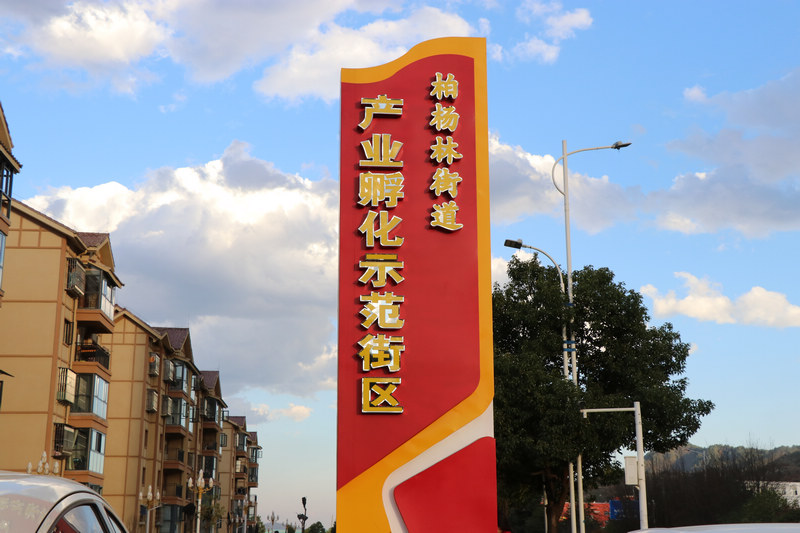 柏杨林街道产业示范孵化街区。