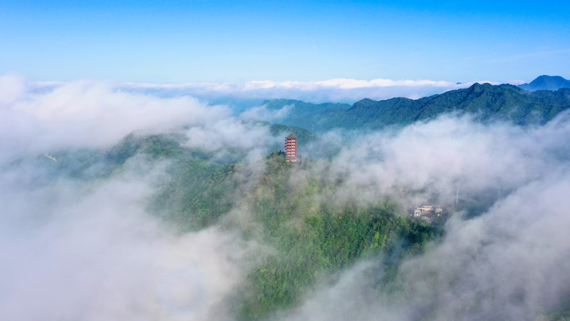 云雾缭绕的箐山森林公园 。习水县融媒体中心供图