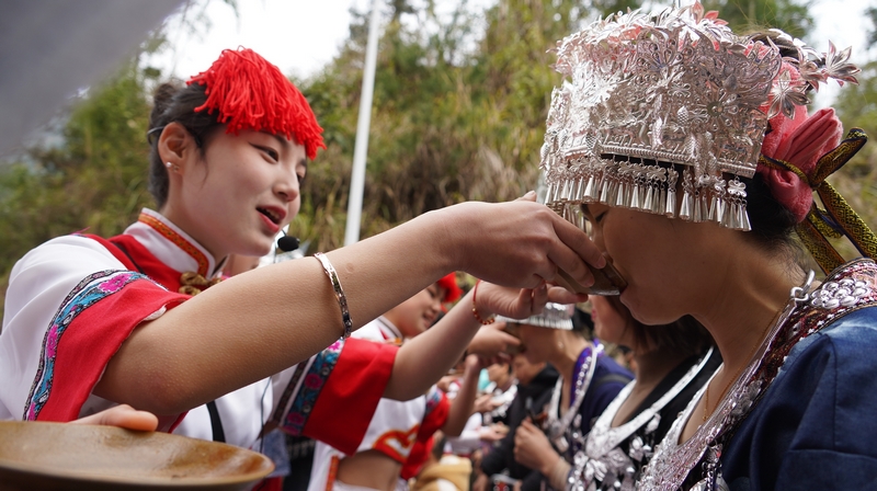 游客在2024年“敬雀节”迎春活动中喝拦门酒进寨。