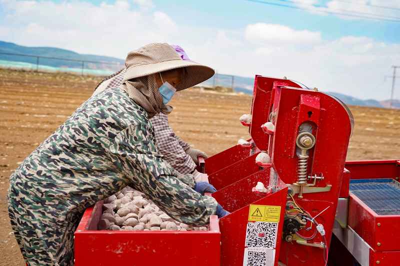 3月31日，在威宁自治县观风海镇全程机械化马铃薯种薯扩繁基地，务工群众在农机上操作。赵庆能摄