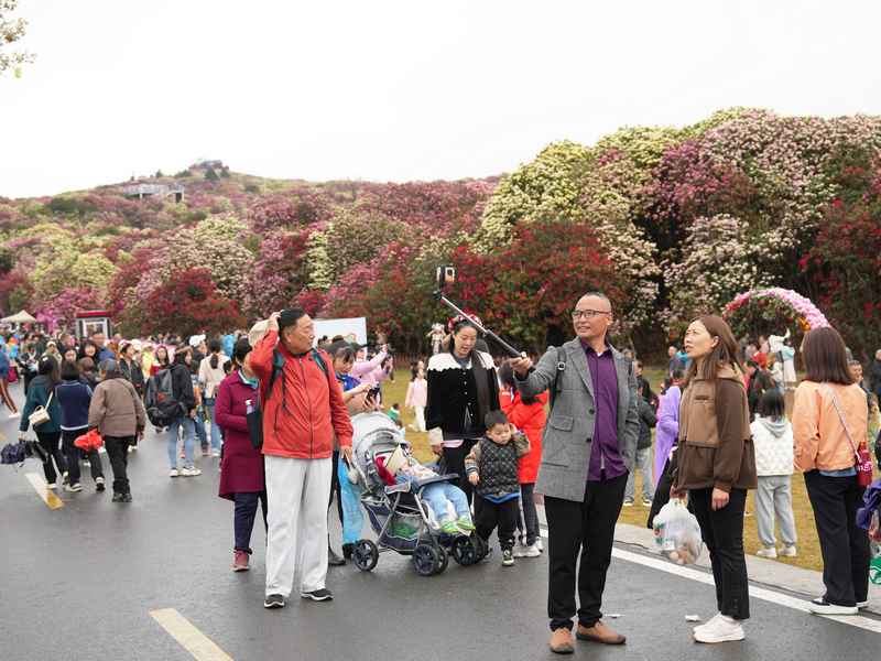 4月4日，在贵州毕节百里杜鹃普底景区锦绣坪，游客正在拍照打卡。杨品益摄