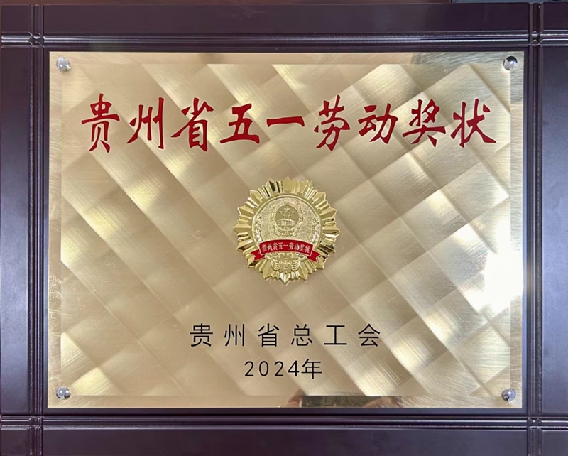贵州金元茶园电厂获得的“贵州省五一劳动奖状“  何禹 摄