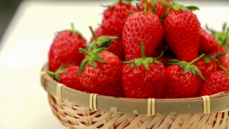 1 、翁井村草莓鲜果。