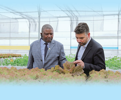 在贵阳市2.5万亩高标准设施蔬菜保供基地清镇园区骆家桥基地，津巴布韦和智利驻华外交官在智慧温室内了解种植作物。