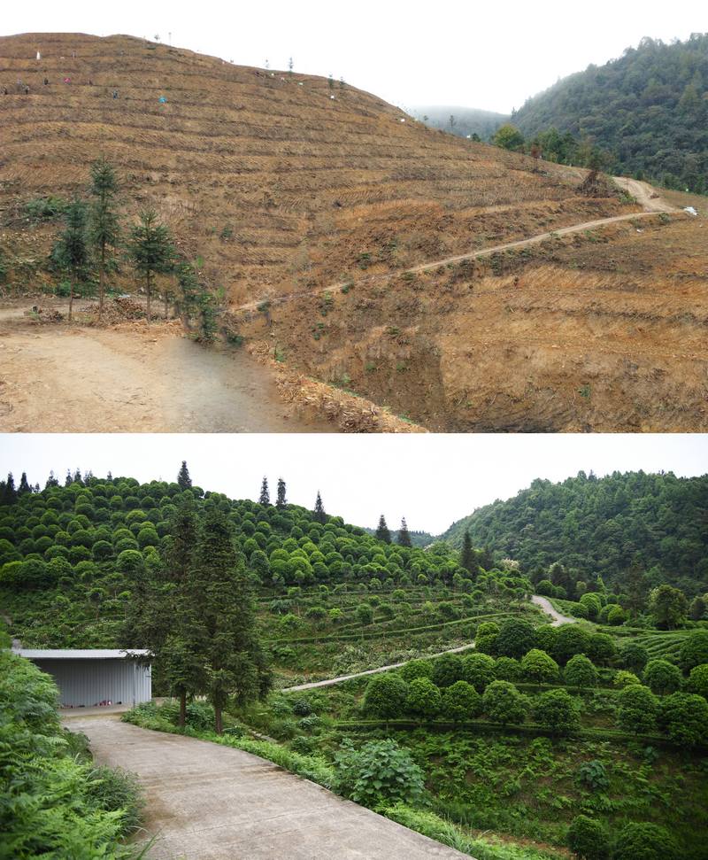 上图为2015年湄潭县高台金塘河小流域治理时的场景；下图为2024年湄潭县高台金塘河小流域治理成效的场景。潘希来摄
