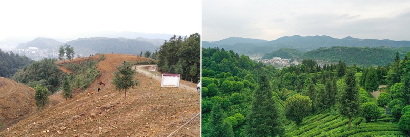 左图为2015年湄潭县高台金塘河小流域治理时的场景；右图为2024年湄潭县高台金塘河小流域治理成效的场景。潘希来 摄