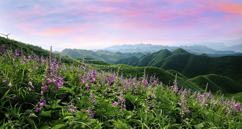 金沙县玉簪花云海景区（李资苇 摄）