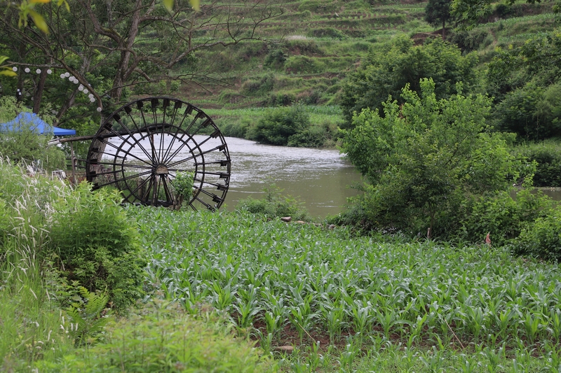 水清岸绿的偏岩河岸  蔡正玲  摄 (1)