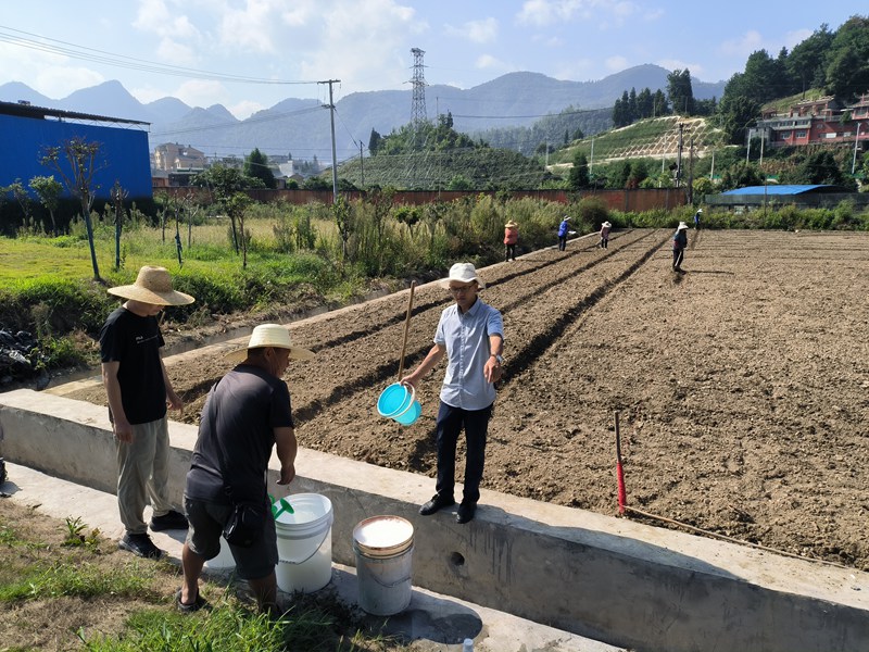 农技人员指导农户喷施杀菌剂和杀虫剂。潘光远摄